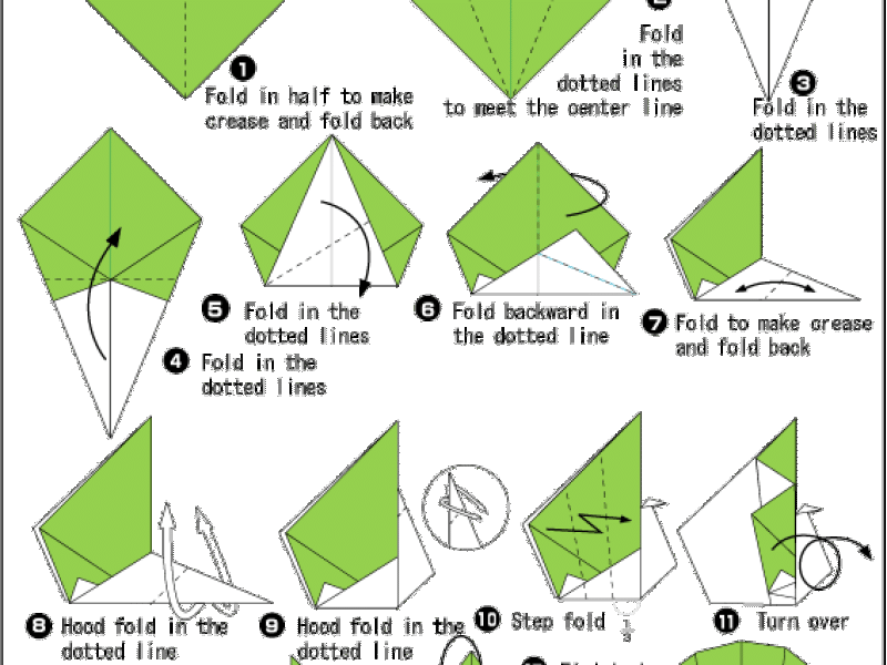 Hướng dẫn gấp con công