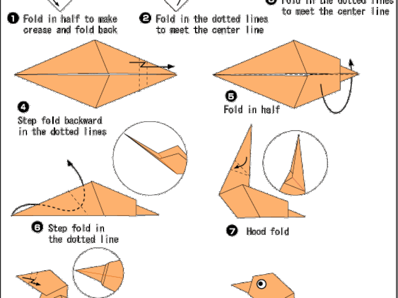 Hướng dẫn gấp con vịt trời