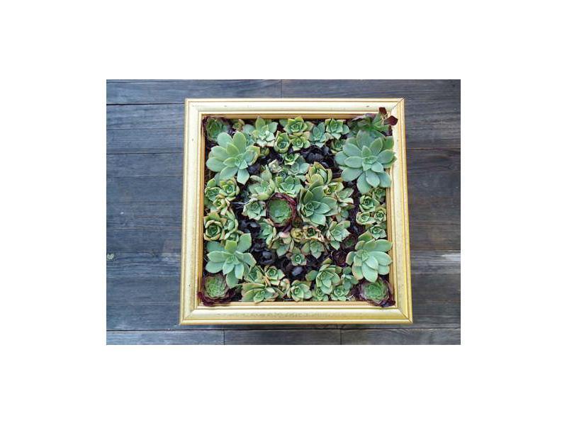 Những ý tưởng tái chế hay ho nhất Made by Teens năm 2011