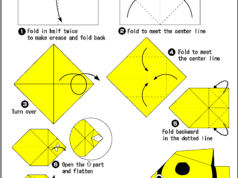 Origami - hướng dẫn gấp con cá bướm
