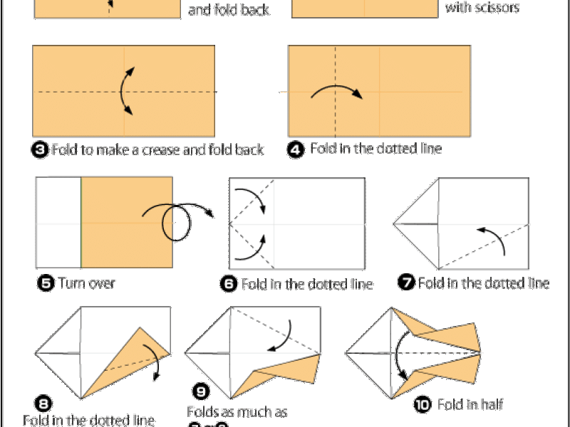 Origami - hướng dẫn gấp con cá cơm