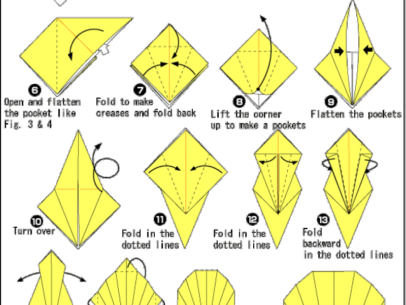 Origami - hướng dẫn gấp con sò