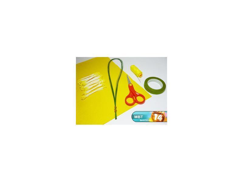 Tràn ngập không khí xuân cùng mai vàng tươi mãi