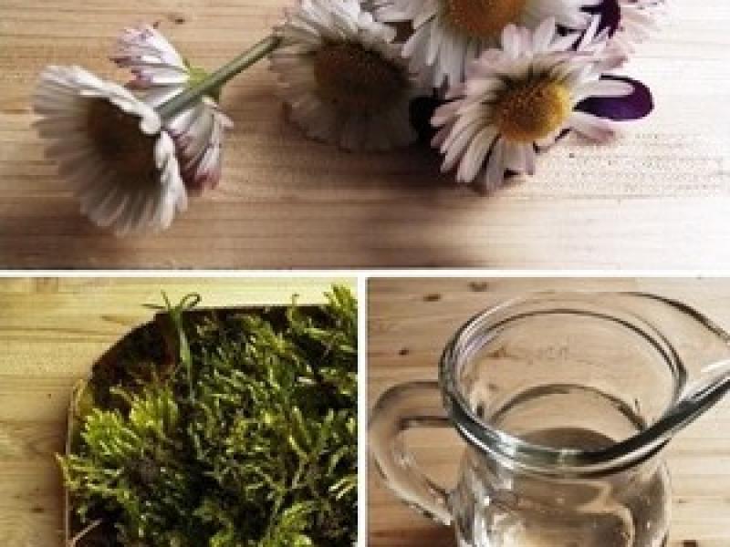 Cách cắm hoa cúc thanh nhã, tinh tế