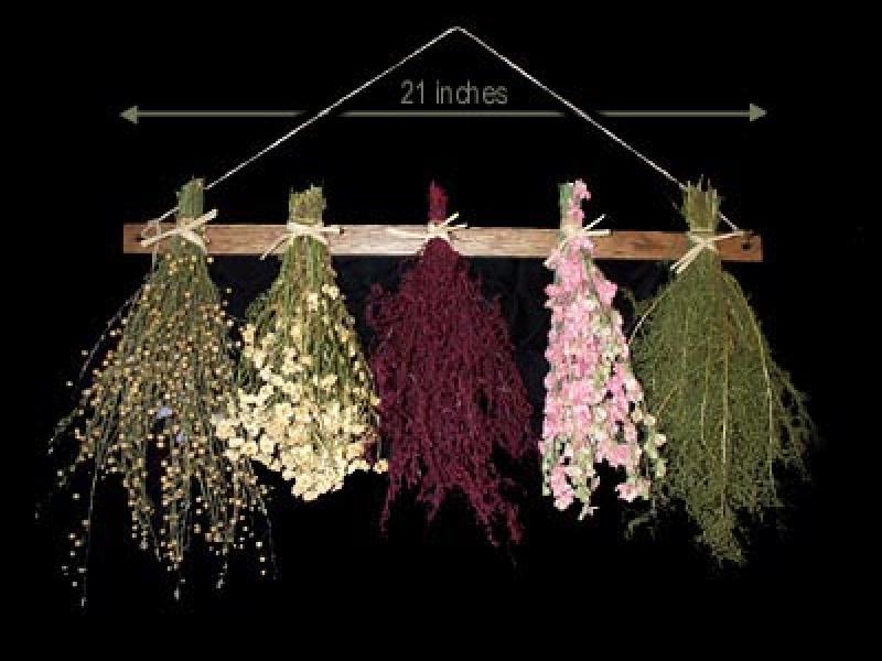 Dành cho những bạn rất yêu hoa