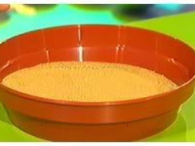 [Handmade] khu vườn tí hon nì mại dzô!^^