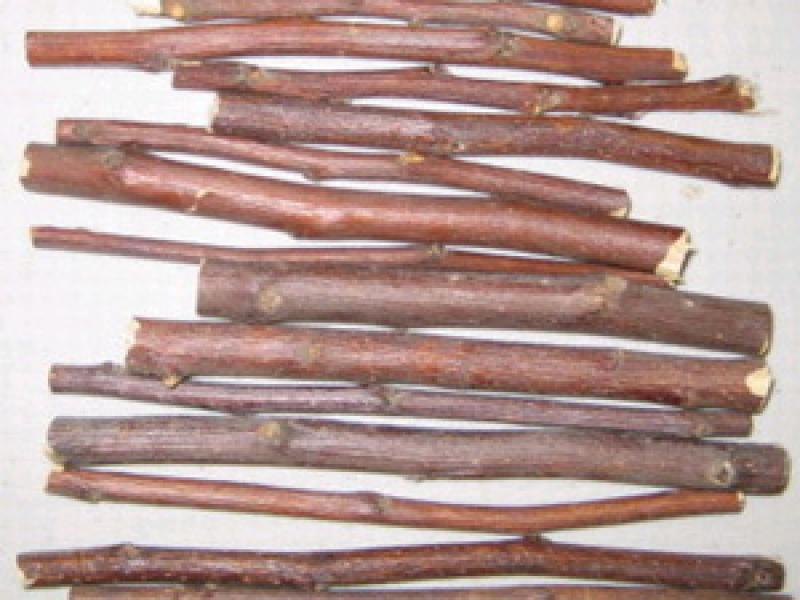 Từ cành cây khô hóa thành lót nồi độc đáo