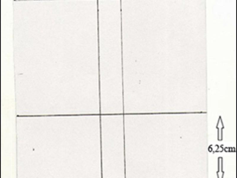 Vòng nguyệt quế bằng giấy trang trí cây thông